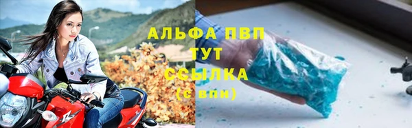 сатива Елабуга