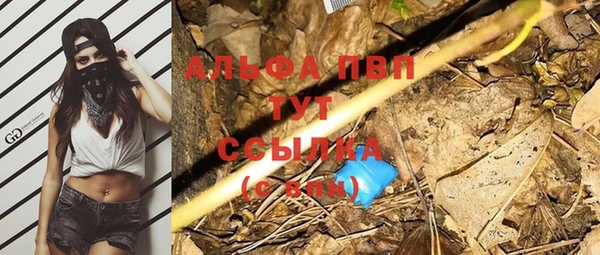 сатива Елабуга