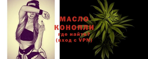 сатива Елабуга