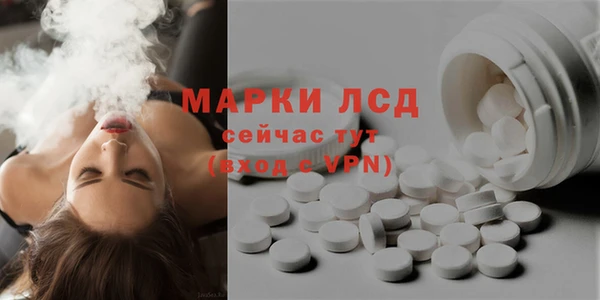 сатива Елабуга