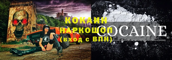 сатива Елабуга