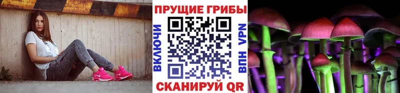 Купить закладки  Дубовка  Псилоцибиновые грибы MAGIC MUSHROOMS 